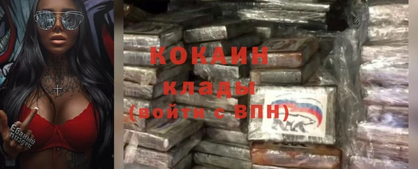 бошки Козельск