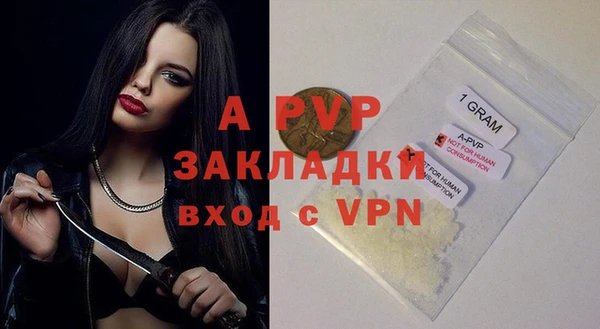 хмурый Кодинск