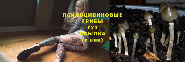 метадон Козловка
