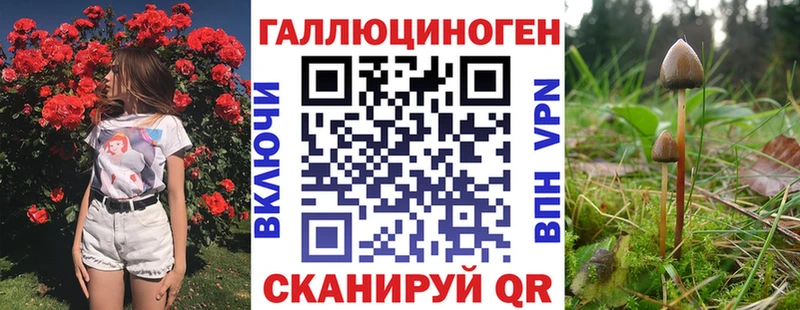 Псилоцибиновые грибы Psilocybine cubensis  Купить где  Пудож 