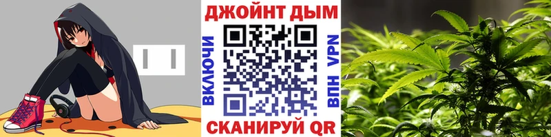 Бошки марихуана OG Kush  Купить закладки  Пудож 